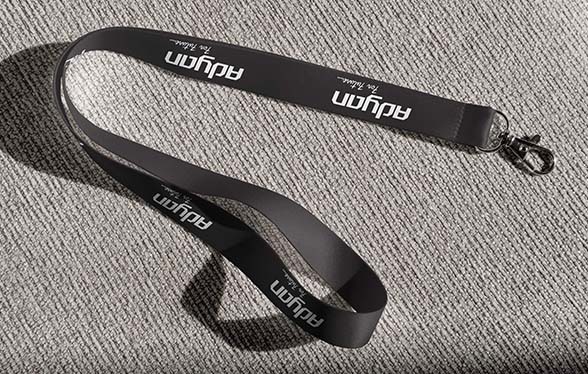 Lanyard